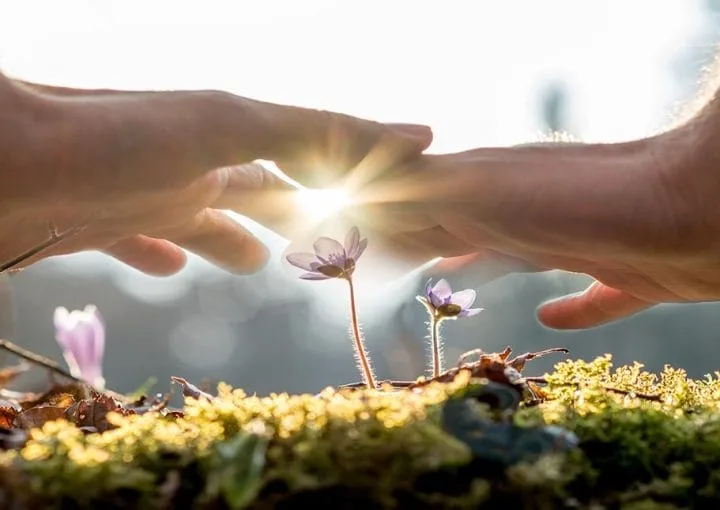 Reiki Eğitimi ve Reiki Şifa Senası Bize Nasıl Yardımcı Olur?