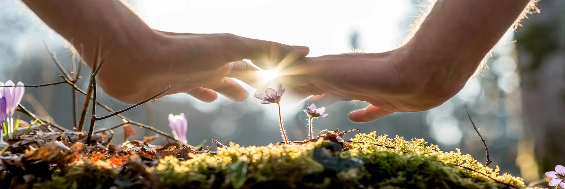Bir Reiki Seansı Sırasında Nasıl Hissedilir? Reiki Eğitimi Bize Nasıl Yardımcı Olur? 2 Reiki Eğitimi ve Reiki Şifa Senası Bize Nasıl Yardımcı Olur?