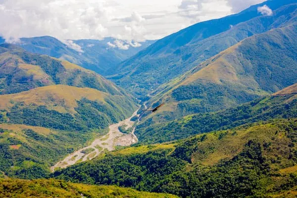 Reiki Nedir? 4 Ruhsal yolculukta Reiki ne demek? İçsel keşif ve doğayla bütünleşme sembolü