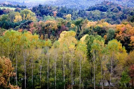 Colores de otoño de la Madre Tierra, símbolo del cambio sereno de las estaciones.