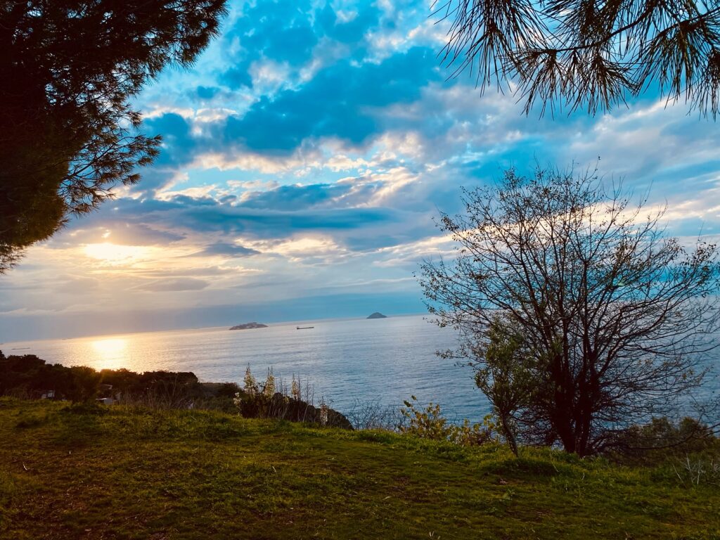 Instagram post from reikigaia11. This post is in position 0.