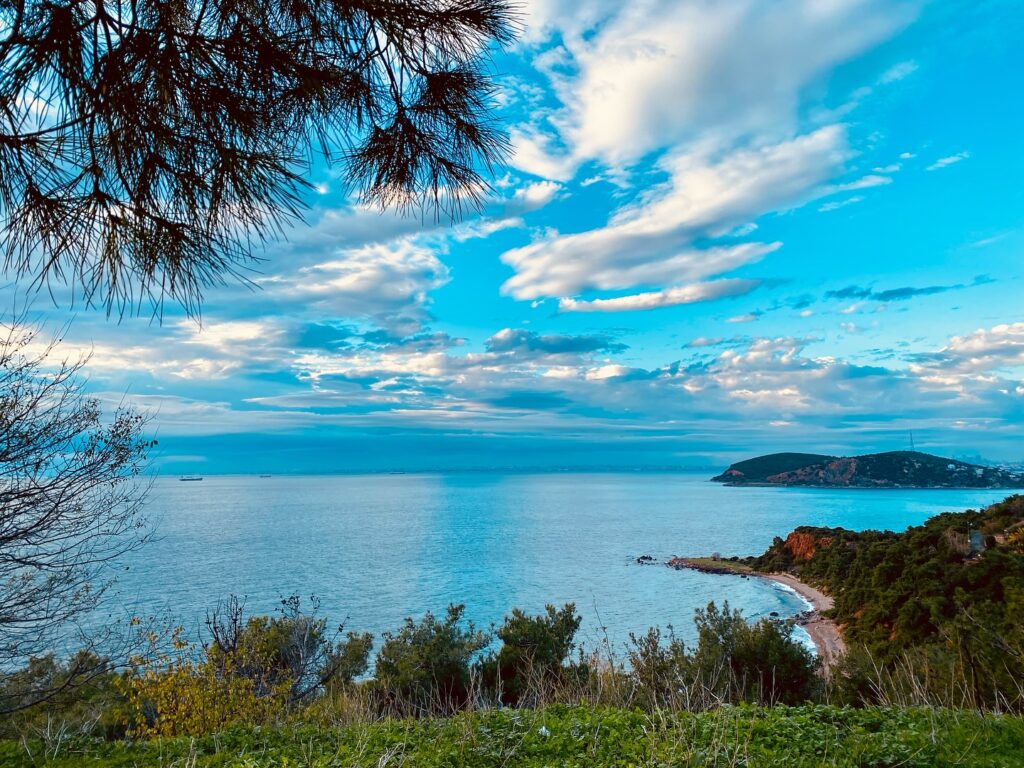 Instagram post from reikigaia11. This post is in position 1.