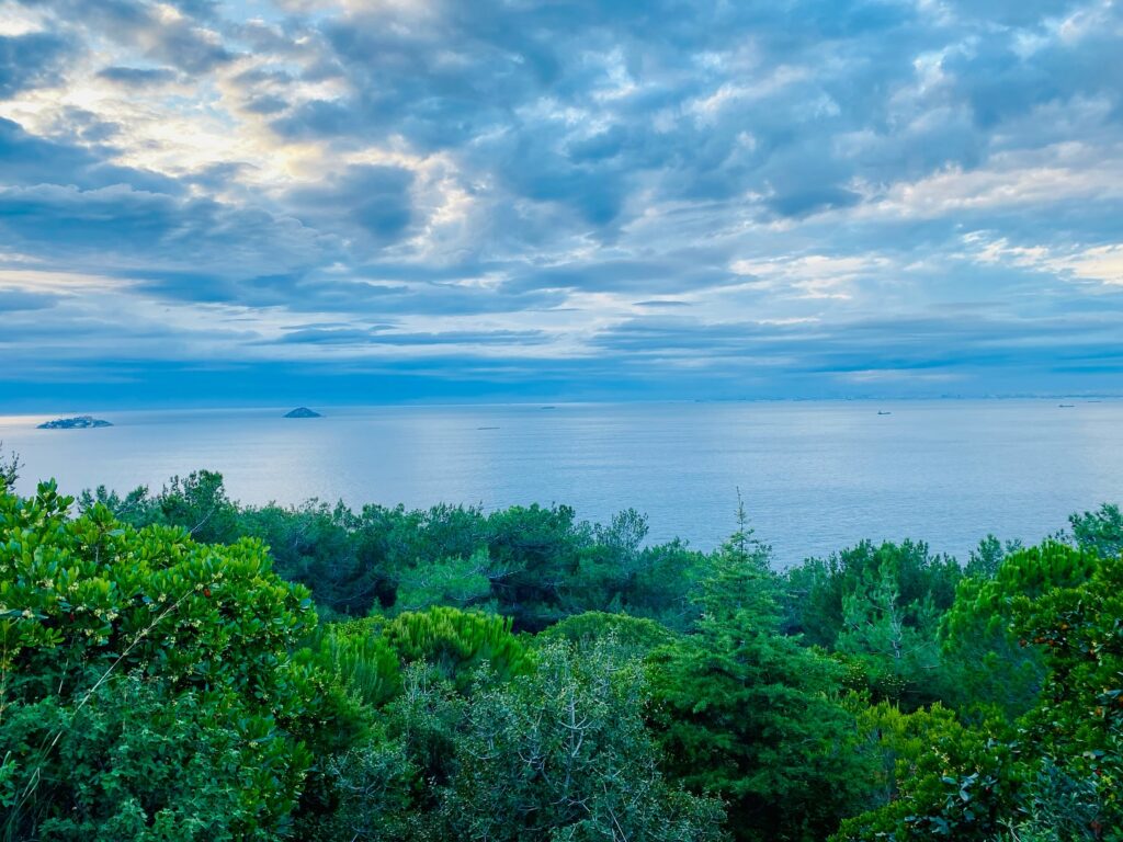 Instagram post from reikigaia11. This post is in position 2.